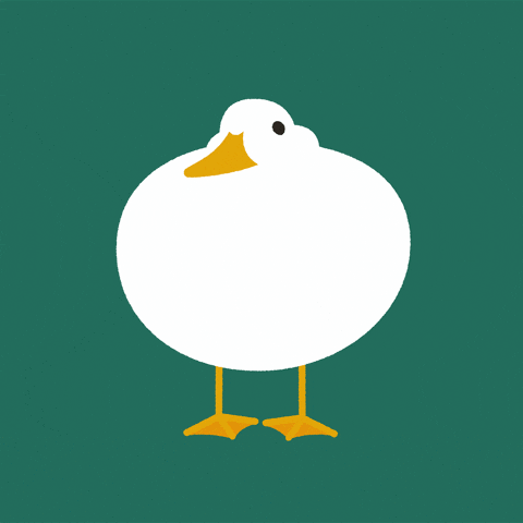Duck guestbook